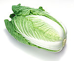 大白菜