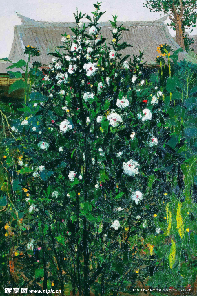 木槿
