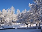 雪景