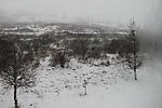 风雪