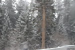 风雪
