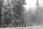 风雪