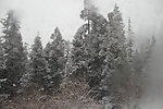 风雪