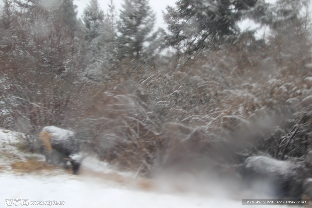 风雪