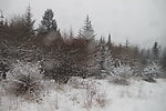 风雪