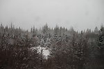 雪景