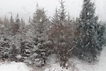 风雪