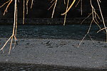 九寨沟