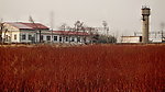 红桃林