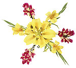 装饰花卉
