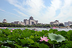 北京莲花池