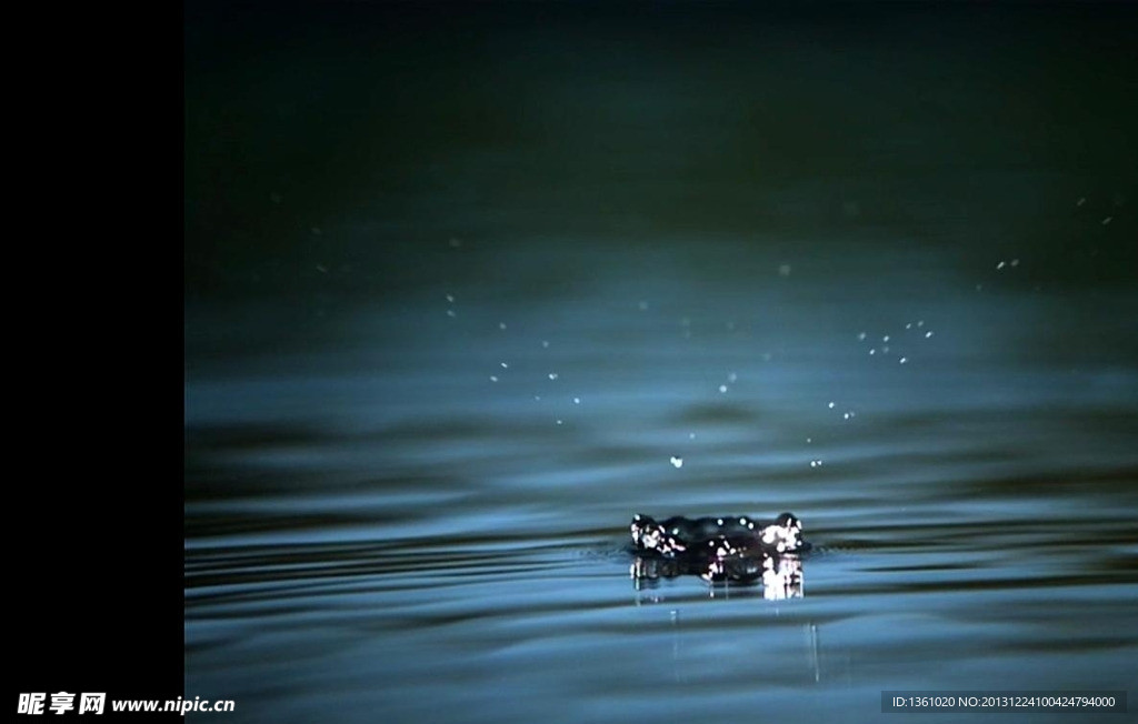 水珠水花背景