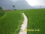 乡村小路