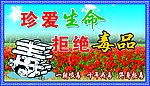 拒绝毒品展板