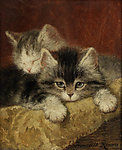 小猫油画