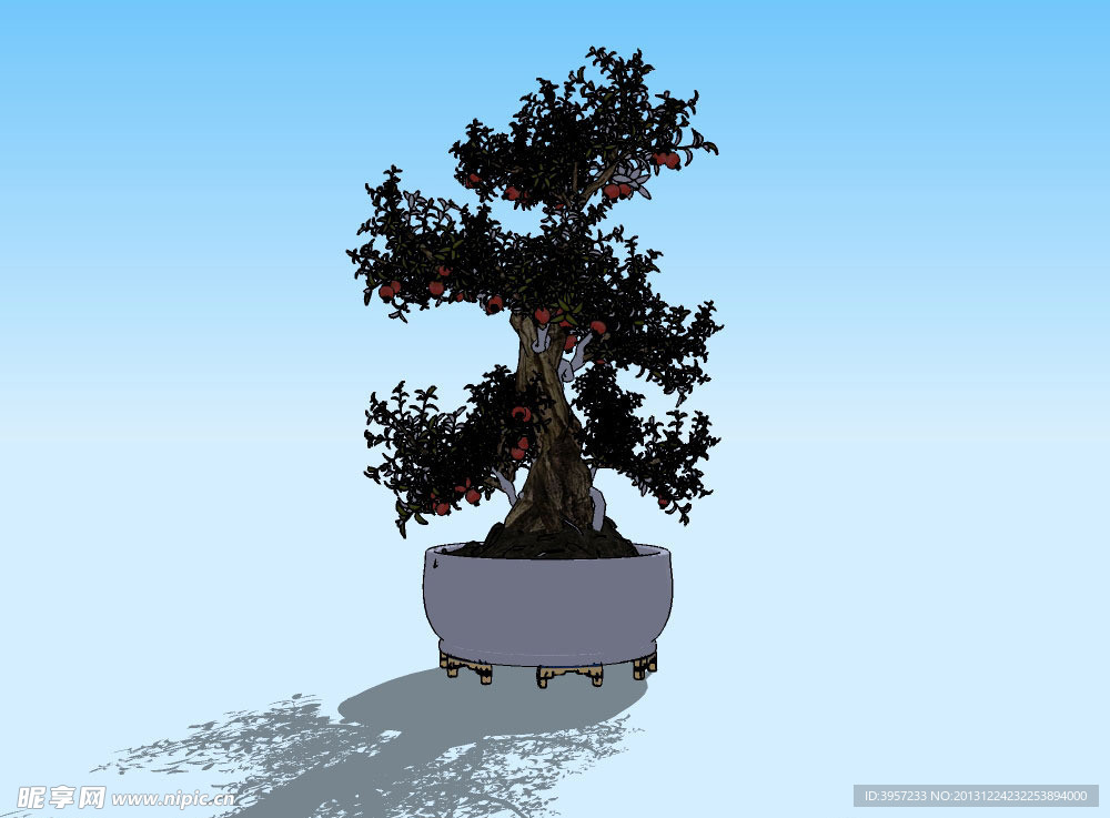 石榴盆景3D模型