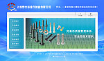 中文网站模版