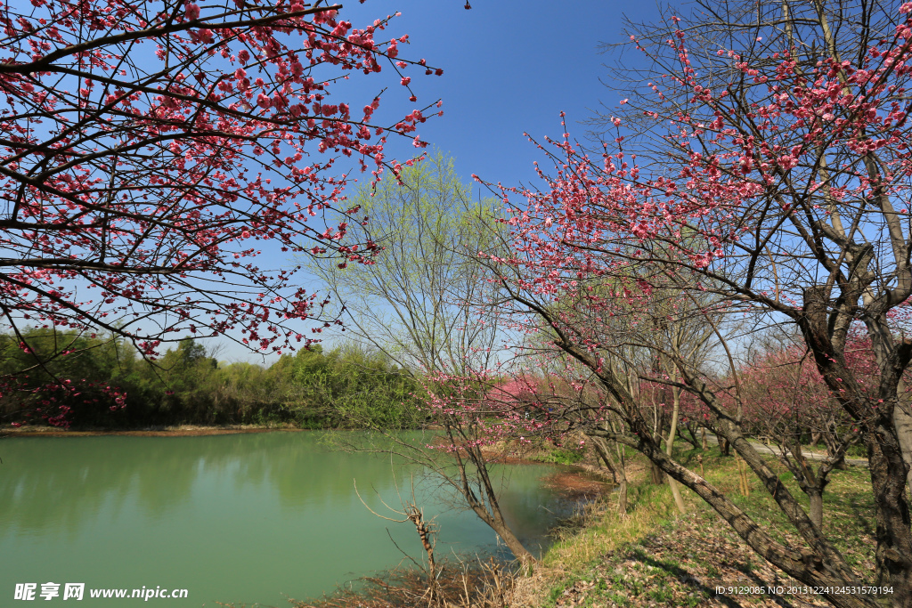 西溪湿地公园