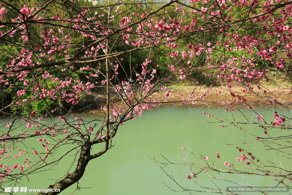 西溪湿地公园