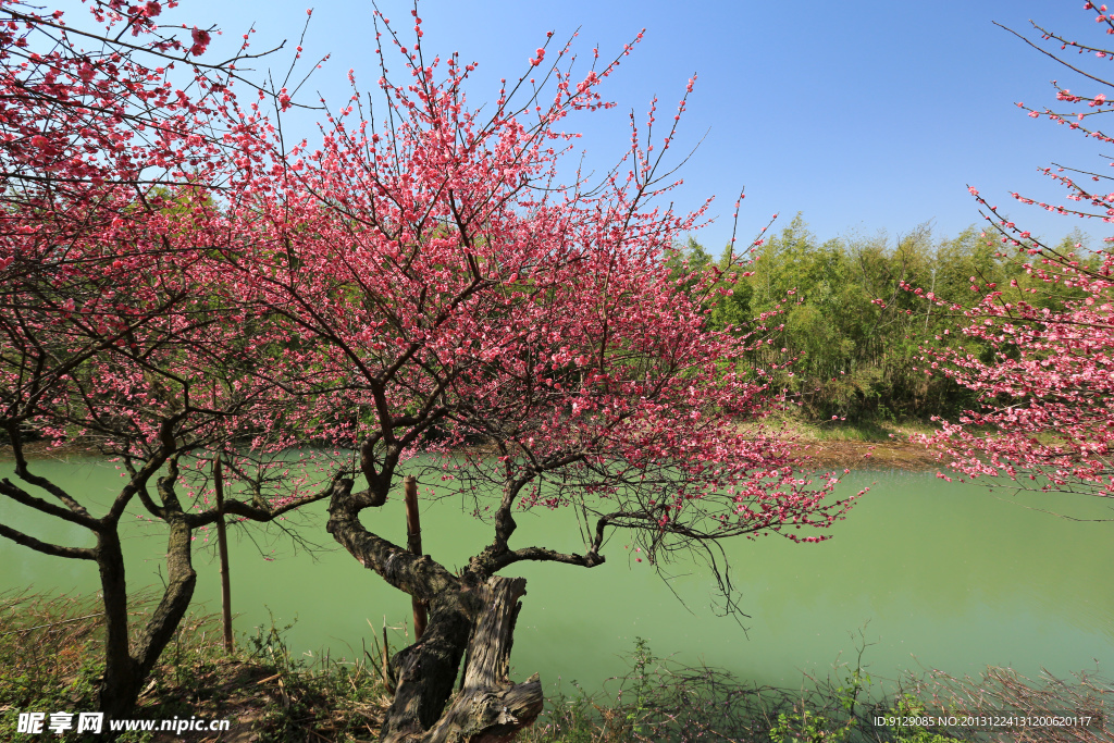 西溪湿地公园