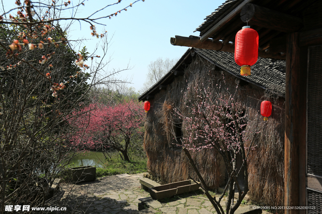 西溪湿地公园