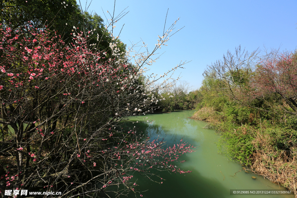 西溪湿地公园