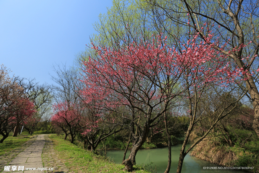 西溪湿地公园