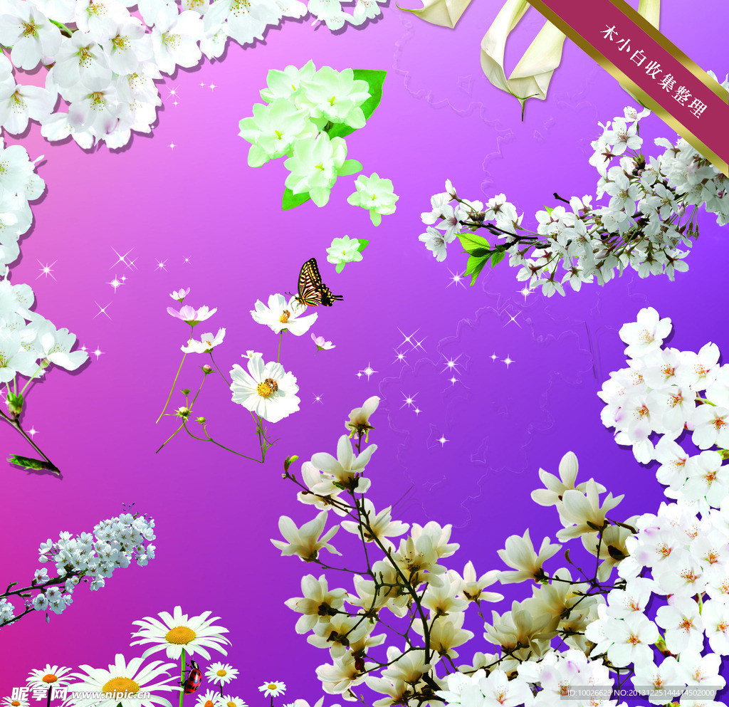花朵素材