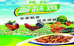 建昌溜达鸡