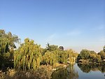 湖景 清河