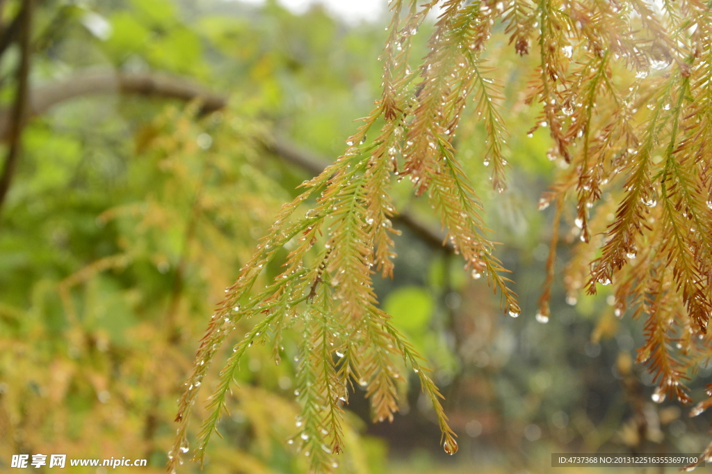 下雨天