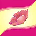 花瓣