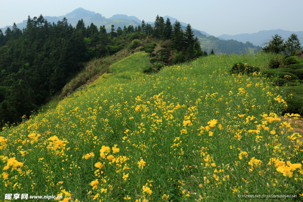 石潭村