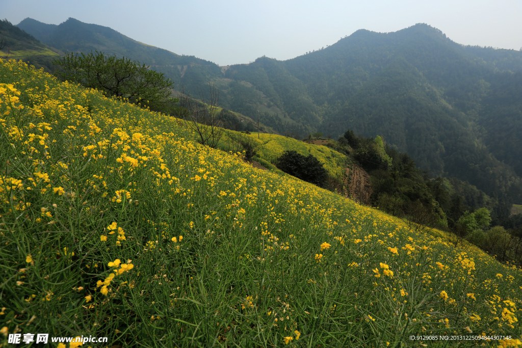 石潭村