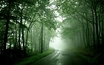 绿荫路