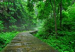 绿荫路