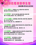 美容（背景合层）