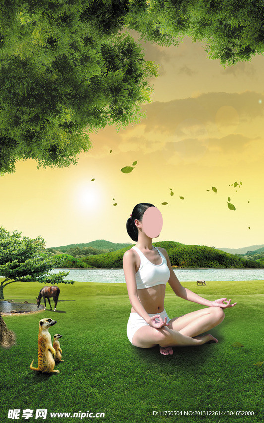 养生 瑜伽 美女 荷
