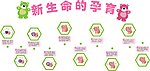 新生命的孕育