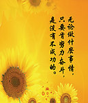 黄色向日葵标语