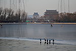 牧笛 鸭群
