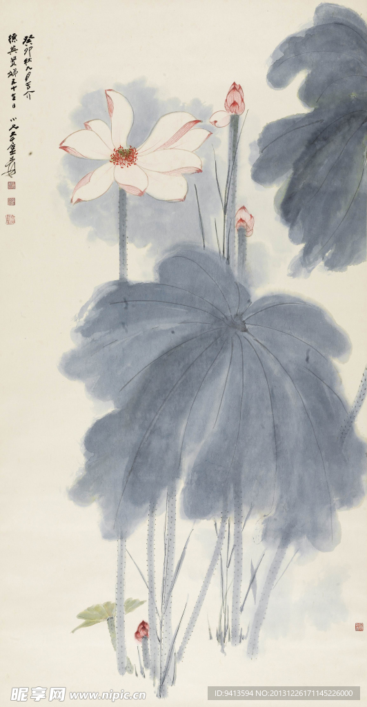 荷花