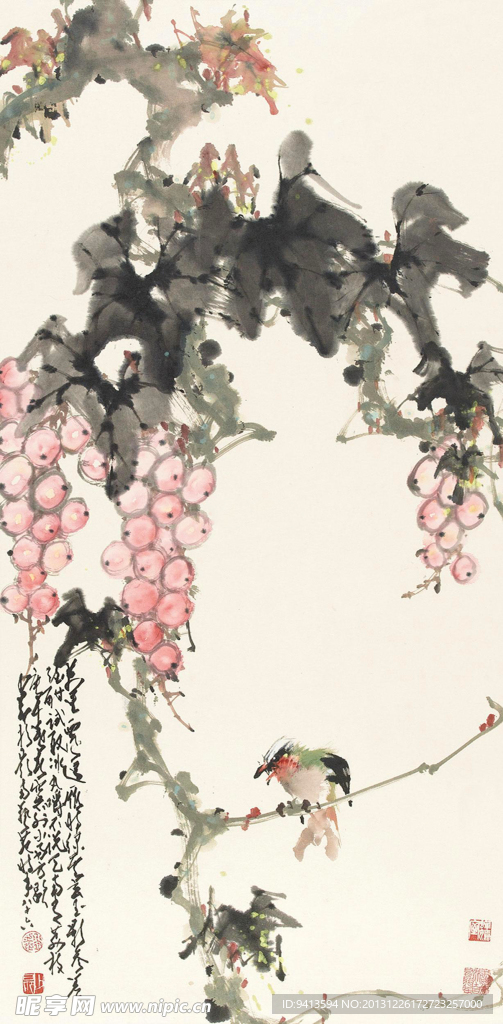 葡萄小鸟