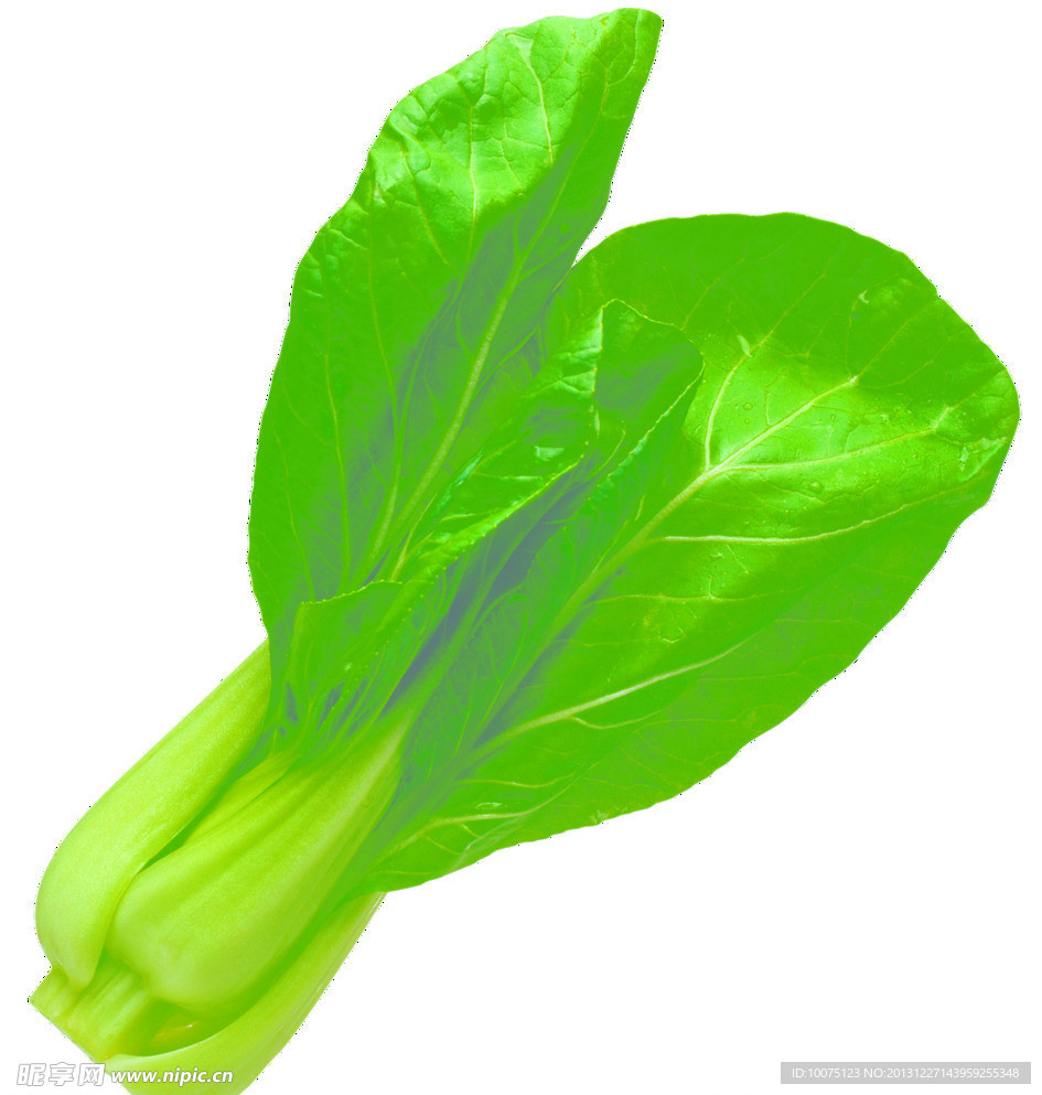 油菜