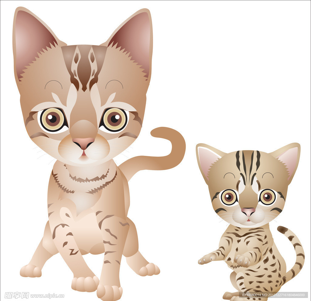 小猫