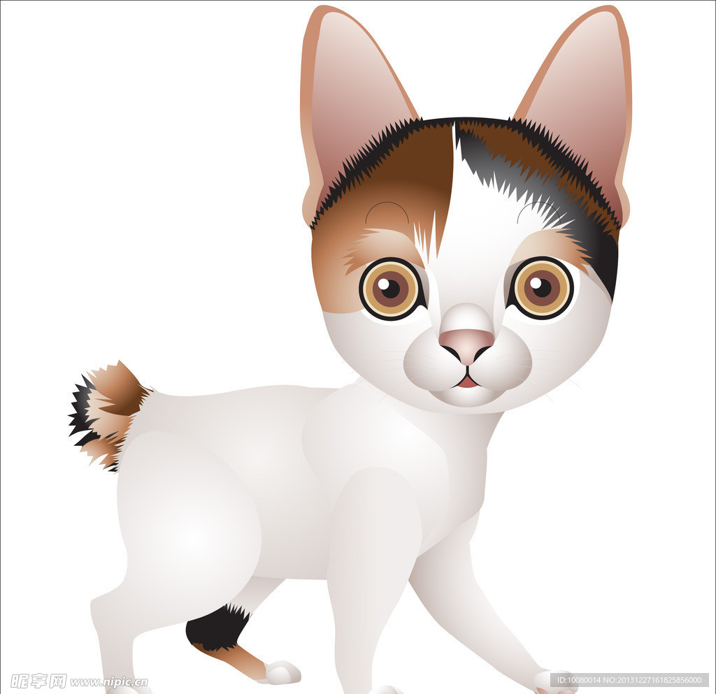 小猫