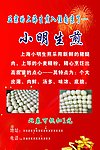 生煎