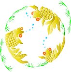 金鱼