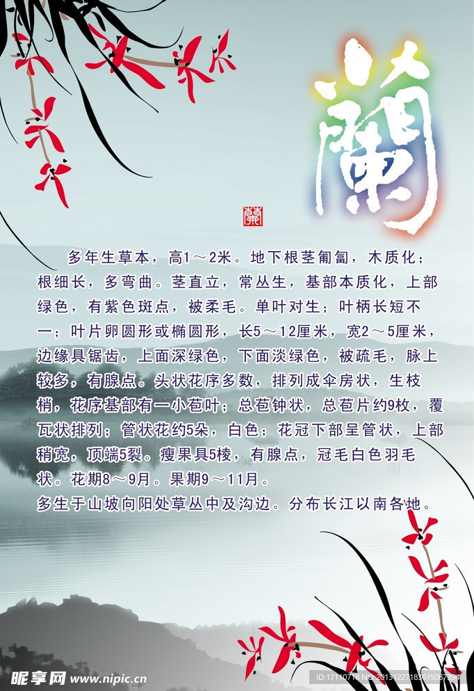 中国风 兰花素材下载