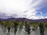 西藏风景